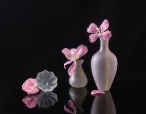  de Alice Sheng