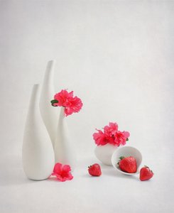 de Alice Sheng