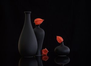  de Alice Sheng