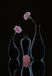  de Alice Sheng