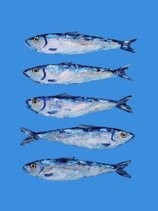 Cinco sardinas azules de Alice Straker