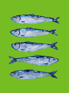 Sardinas azules frescas de Alice Straker