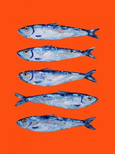 Sardinas sobre naranja