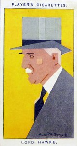 Martin Hawke, 7º Barón Hawke