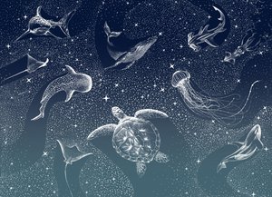 Vida marina celestial de Alirıza ÇAKIR