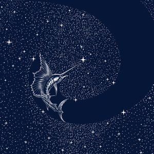 Pez vela celestial de Alirıza ÇAKIR