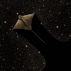 Águila cósmica de Alirıza ÇAKIR