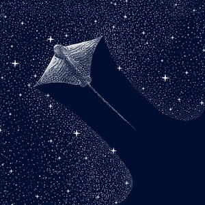 Águila cósmica de Alirıza ÇAKIR