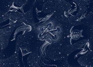 Sueño del océano cósmico de Alirıza ÇAKIR