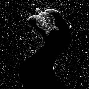 Tortuga marina cósmica de Alirıza ÇAKIR