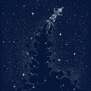 El ascenso del calamar cósmico de Alirıza ÇAKIR