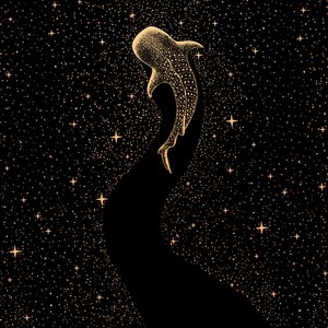 Tiburón ballena cósmico de Alirıza ÇAKIR