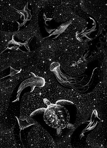 Animales marinos bajo las estrellas de Alirıza ÇAKIR