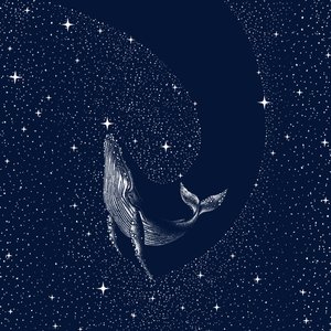 La ballena de la noche estrellada de Alirıza ÇAKIR