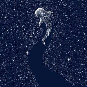 Tiburón ballena estrellado de Alirıza ÇAKIR