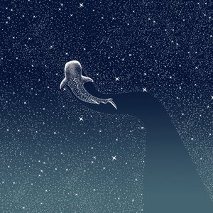 La Galaxia del Tiburón Ballena de Alirıza ÇAKIR