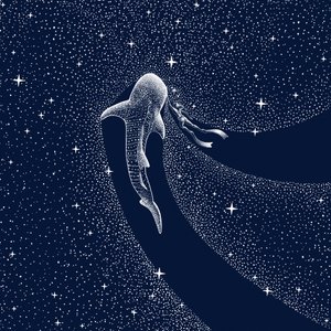 Viaje por la Galaxia del Tiburón Ballena de Alirıza ÇAKIR