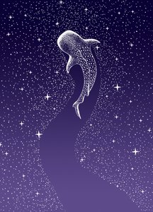 Nado con tiburones ballena en la Galaxia de Alirıza ÇAKIR