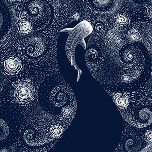 Tiburón ballena en el océano estrellado de Alirıza ÇAKIR