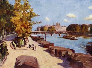 París: El Sena y la Isla de la Ciudad desde el Puente del Carrusel (litografía en color)