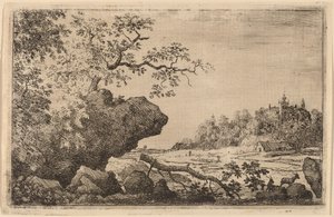 Rama en el agua de Allart van Everdingen