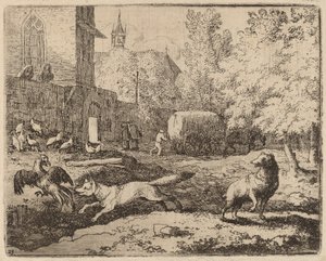 Reynard intenta robar un gallo, probablemente c. 1645-1656 de Allart van Everdingen