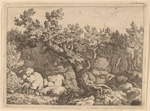 Deportista cerca de un gran árbol, probablemente c. 1645-1656 de Allart van Everdingen