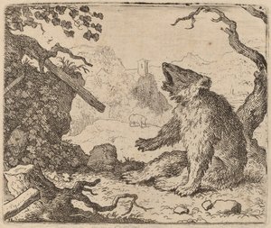 El Oso Enviado como Mensajero de Allart van Everdingen