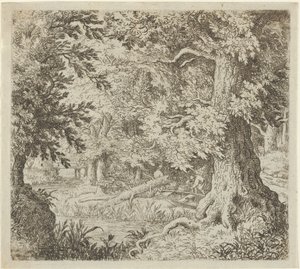 El arroyo en el bosque, siglo XVII de Allart van Everdingen