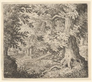 El arroyo en el bosque de Allart van Everdingen