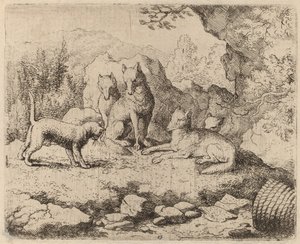 El gato enviado como mensajero, probablemente c. 1645-1656 de Allart van Everdingen