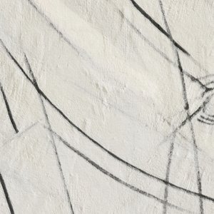 Líneas negras abstractas de Alma