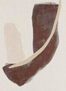 Formas abstractas y terrosas