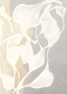 Formas orgánicas fluidas de Alma