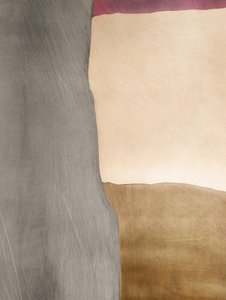 Campos de color orgánicos de Alma