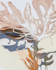 Formas orgánicas fluidas de Alma