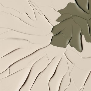 Formas orgánicas fluidas de Alma