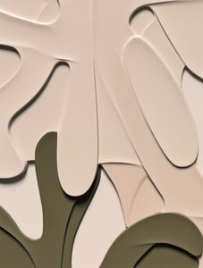 Formas orgánicas en capas de Alma