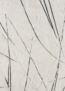 Textura de líneas orgánicas