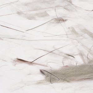 Líneas fluidas y sutiles de Alma