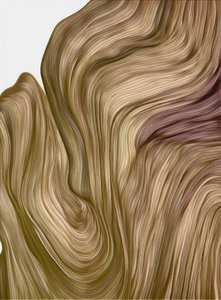 Curvas fluidas y sutiles