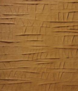 Motivos de la Tierra cálida de Alma