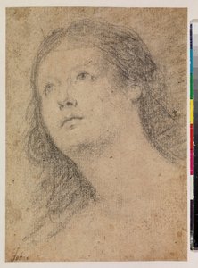 Cabeza de mujer mirando hacia arriba (recto) de Alonso Miguel de Tovar