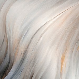 Plumas suaves y ondulantes de Alpenglow Workshop