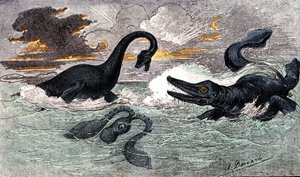 Periodo Lias (Jurásico Inferior): Plesiosaurio e Ictiosaurio, creación natural y seres vivos (por Jules Rengade) Dibujo de A. Demarle. 1885