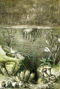 Prehistoire-Terre et Mers: El comienzo del período Silúrico (J. Rengade. Dibujo de Demarle. 1885