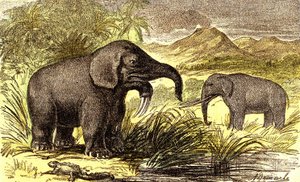 Periodo Prehistórico-Mioceno: De derecha a izquierda: el Dinoterio y el Mastodonte. Creación natural y seres vivos. Dibujo de A. Demarle. 1885