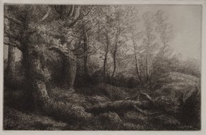 Estudio de un bosque de Alphonse Legros