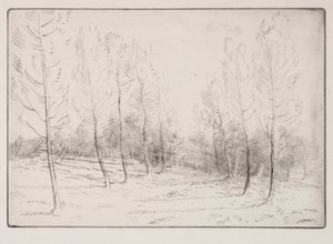 Avenue of Poplars de Alphonse Legros