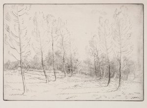 Avenida de álamos de Alphonse Legros